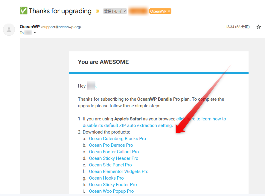 OceanWPからのメール
